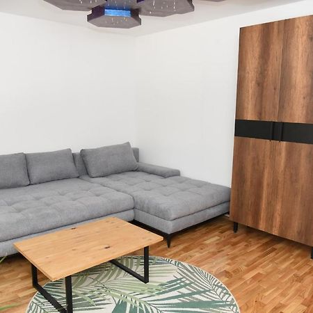 Garden Apartment - Oaza U Centru Grada Novi Sad Dış mekan fotoğraf
